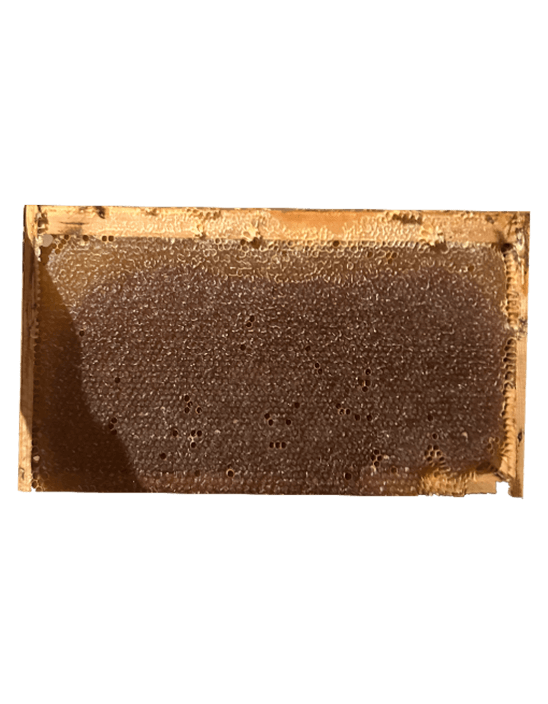 lebanese honey organic honey honey nuts pure طبيعي عسل لبنان pollen حبوب لقاح منتجات لبنان زحلة نحل لبنان pure honey best lebanese honey