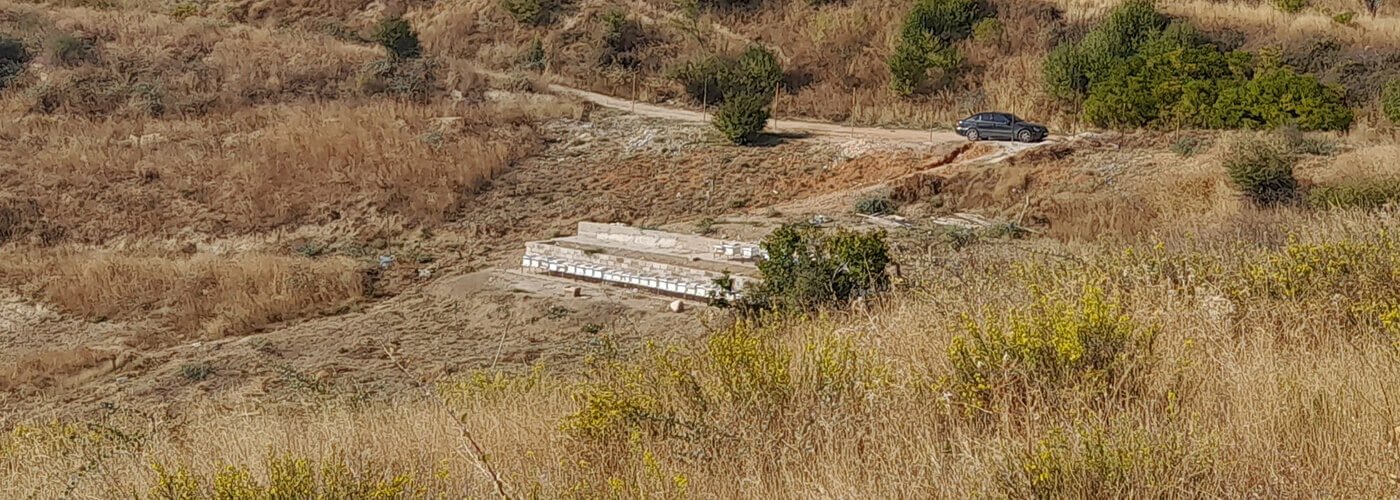 lebanese honey organic honey honey nuts pure طبيعي عسل لبنان pollen حبوب لقاح منتجات لبنان زحلة نحل لبنان