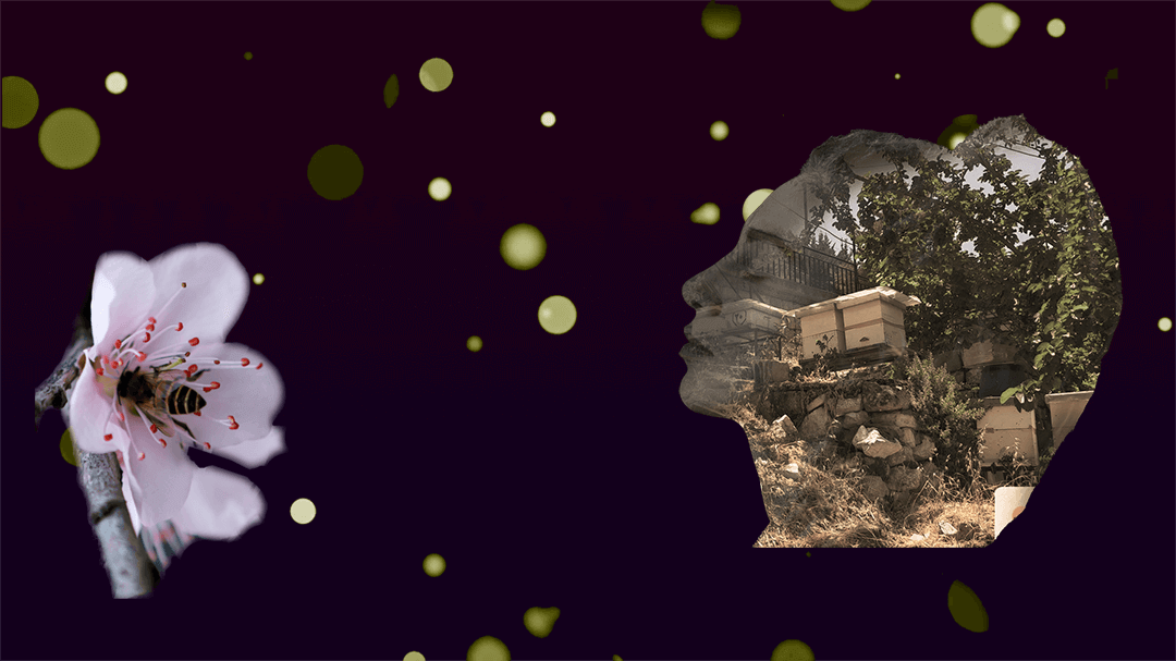 Harvested With Passion, Shared With Love