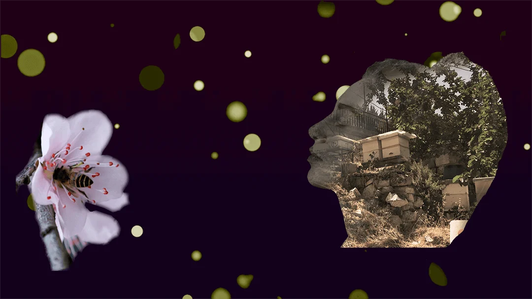 Harvested With Passion, Shared With Love