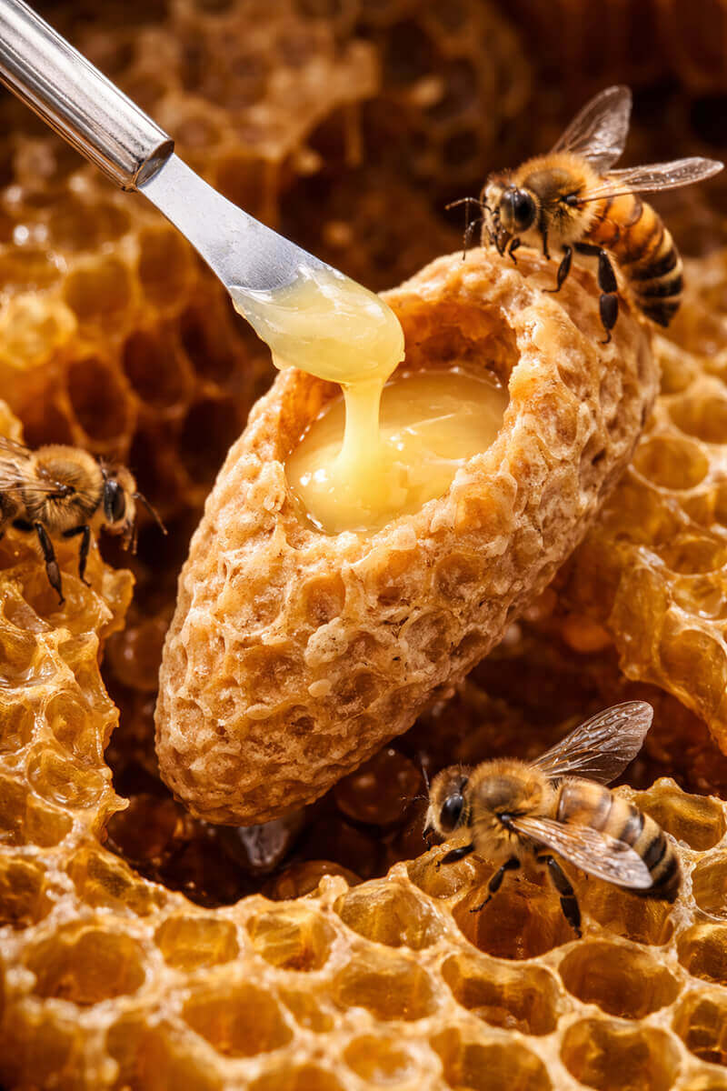Royal Jelly